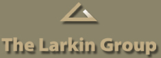 The Larkin Group